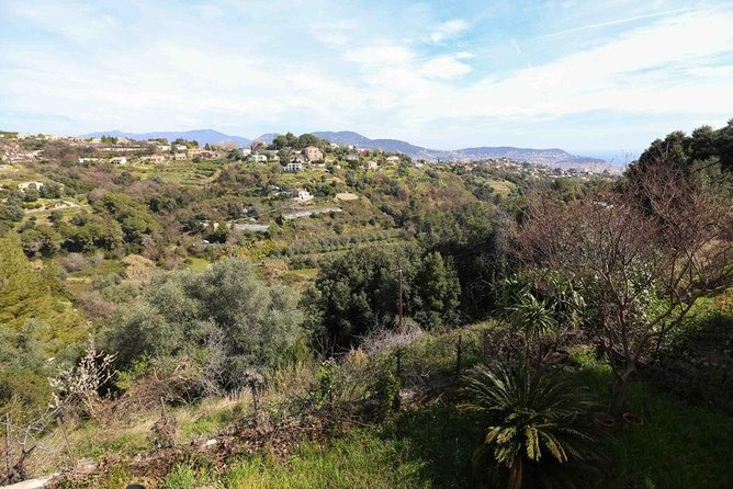 3-Course Organic Dinner in Garden with Views of French Riviera - What a Three-Course Niçoise-Style Organic Dinner Means in Practice