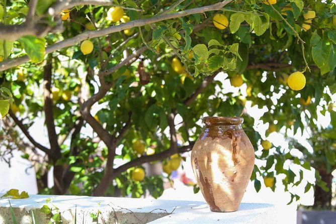 3-Course Organic Dinner in Garden with Views of French Riviera - Weather, Timing, and a Few Smart Packing Tips