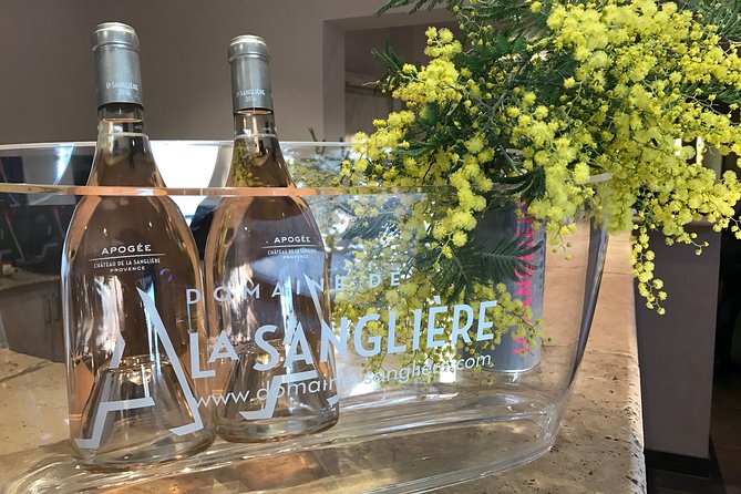 4x4 tour in a winery followed by a tasting - Stop 1 at the vineyard: what the guided walk is really for