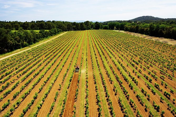 4x4 tour in a winery followed by a tasting - Price and value for a 1 hour 30 minute small-group tour