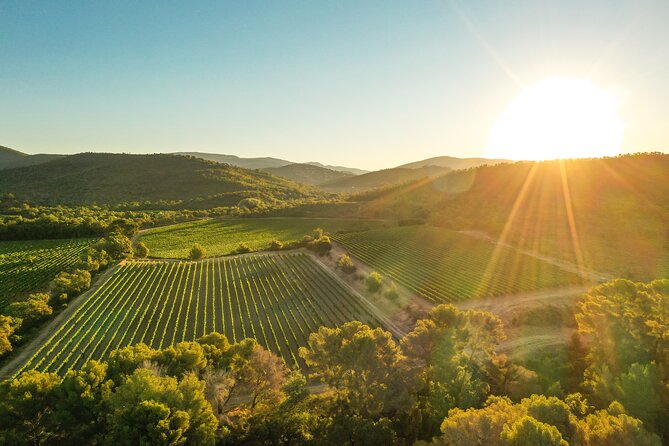 4x4 tour in a winery followed by a tasting - The retro Land Rover Defender ride: how the vineyard comes alive