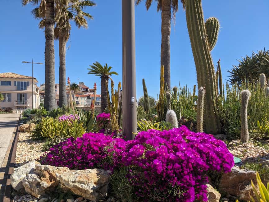 Antibes: 2 hour walking tour in the old town - The best way to use this tour after it ends