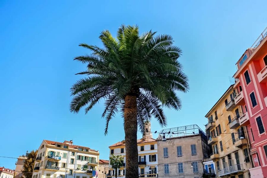 Antibes: Express Walk with a Local in 60 minutes - Place Nationale: your shortcut to understanding Antibes’ daily center