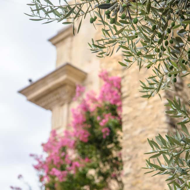 Antibes: Express Walk with a Local in 60 minutes - Starting at the pier near the city wall, you get oriented fast