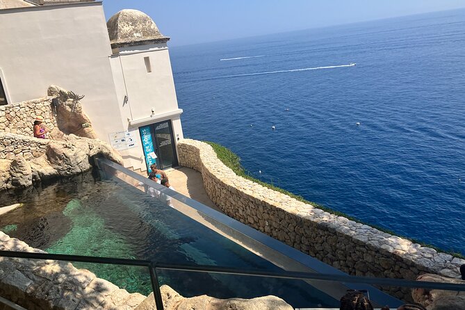 Best of Monaco Private Tour and Outlet Shopping Experience - Getting There from Cannes: Pickup, Timing, and Comfort