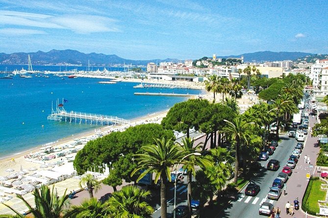 Best of the French Riviera Private Guide - Tailor-Made Tour - Monaco, Full Stop: Old Town, Cathedral Area, and the Prince’s Views
