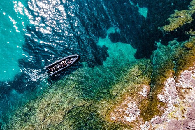 Boat excursion - Cannes Esterel Coves Insight – 1H30 - Architectural coast views, bubbles houses, and Port la Galère