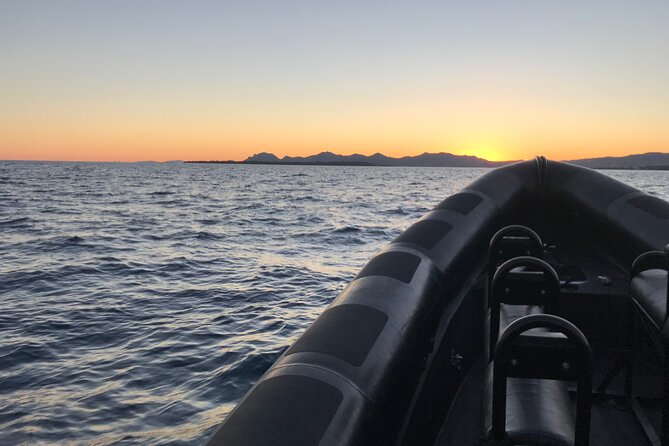Boat Excursion - Nice/St Jean Cap Ferrat 1H30 - The La Fossette Swim and Snorkel Stop: Exactly What You Get