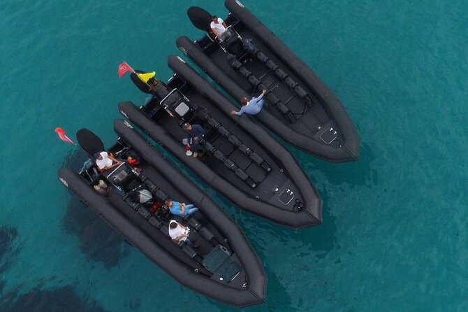 Boat Excursion - Nice/St Jean Cap Ferrat 1H30 - 12-Person Group Size and a Captain Who Actually Runs the Boat