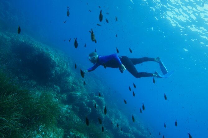 Boat trip and snorkeling in Villefranche - sur - Mer - Getting From Nice to the Cape Areas Without Wasting Time