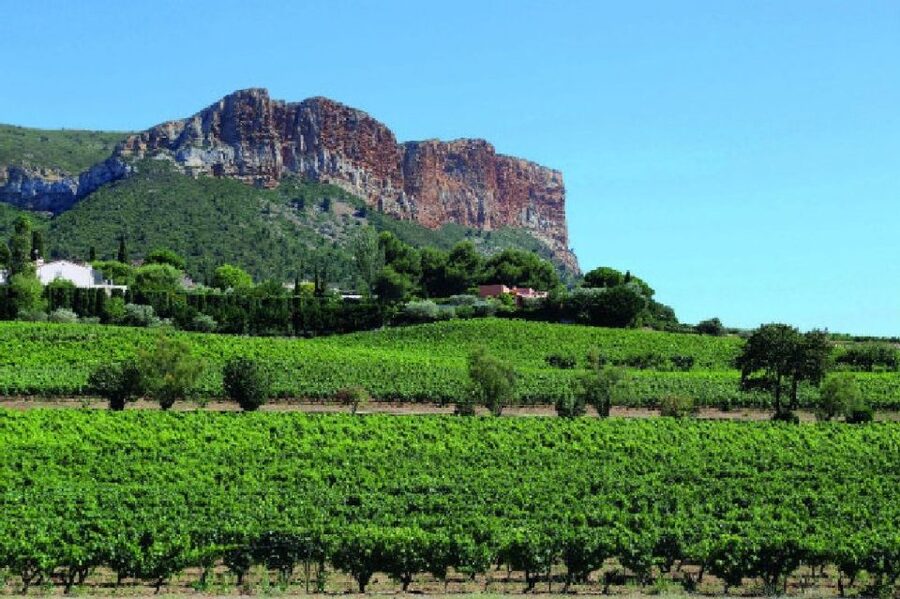 Calanques of Cassis, Aix-en-Provence & Wine Tasting Day Tour - Calanques of Cassis and Aix-en-Provence in one 10-hour loop