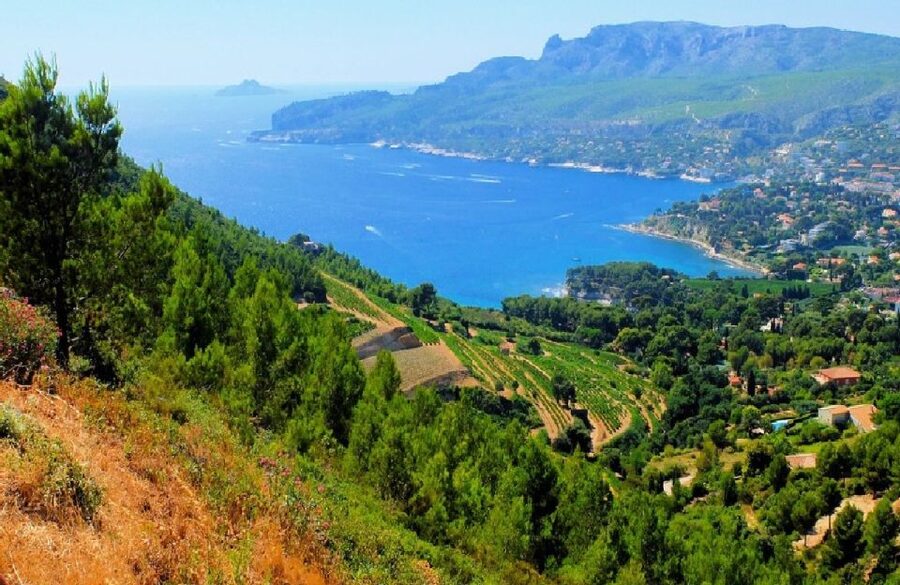 Calanques of Cassis, Aix-en-Provence & Wine Tasting Day Tour - Cassis on the water and on foot, what you will actually enjoy