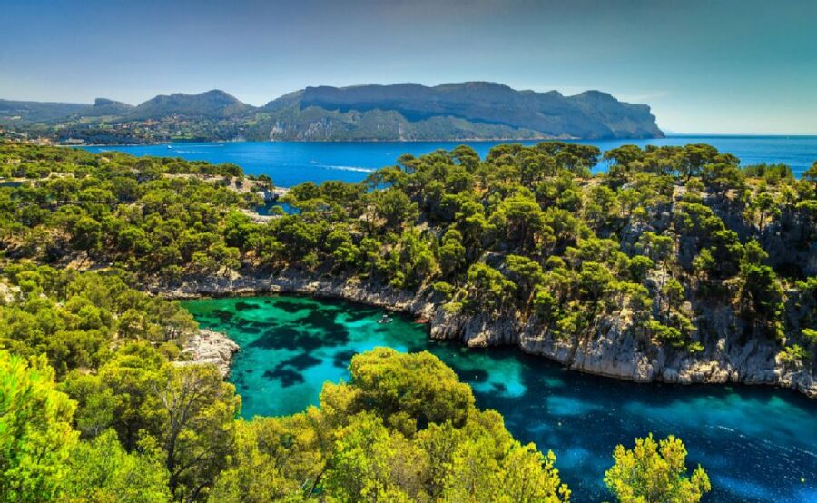 Calanques of Cassis, Aix-en-Provence & Wine Tasting Day Tour - Wine tasting in Provence, what to expect from the session