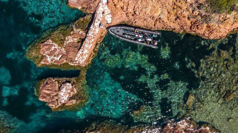 Cannes: 2.5-Hour Esterel Calanques Boat Excursion - Meeting Black Tenders at Port du Béal, what to expect right away