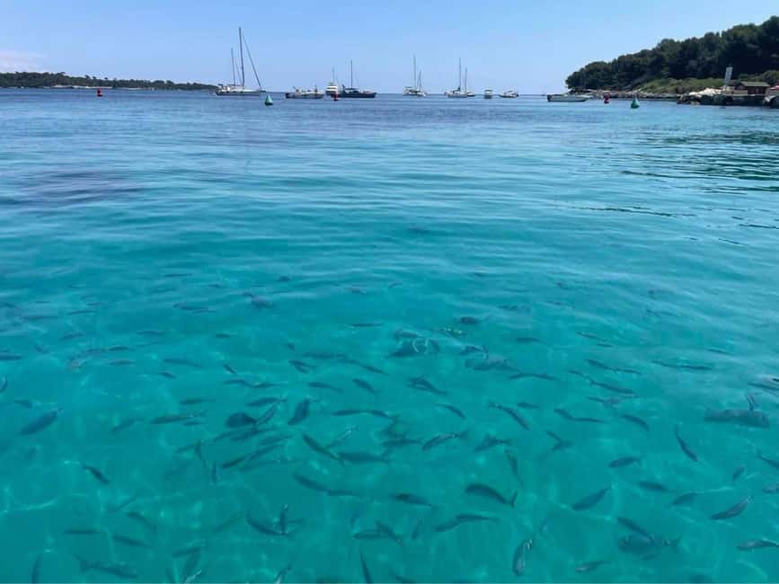 Cannes: Boat trip without a license to the Lerins Islands - Théoule-sur-Mer: The Last Stretch and the Water Time You’ll Want