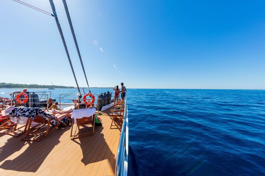 Cannes: Half-Day Catamaran Cruise with Lunch - The exact route: old port to the Lérins Islands, then St. Marguerite