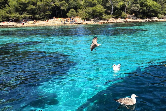 Cannes Private Boat Tour to the Lerins Islands – Relax & Cruise - Captain Energy Matters, and You’ll Feel It in the Flow of the Day