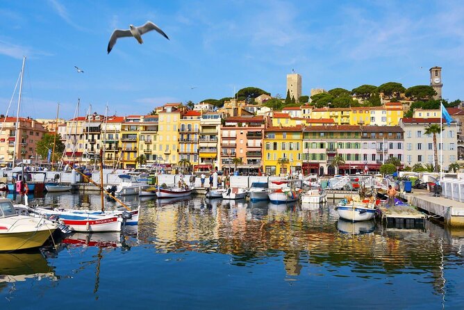 Cannes Private Tour: Film Festival, Secrets & Stunning views - Ending at the Palais des Festivals: what to do next