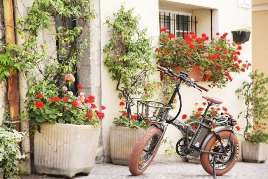 Cannes: rent an E-bike to visit the city - Who Should Book This E-Bike Day