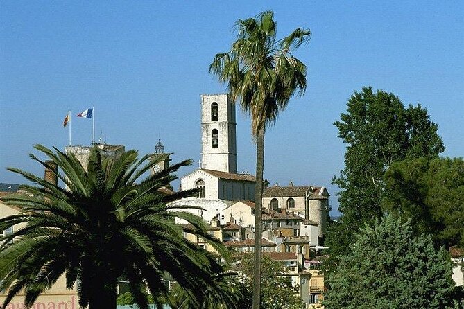 Countryside and Wine Tasting Full-day tour from Cannes - Valbonne: Medieval Streets With Time to Explore at Your Own Pace