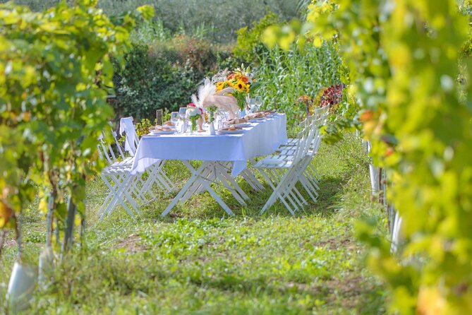 Dinner in the Vineyard French Riviera - Live Music, Chef Cooking Live, and Art on Certain Dates