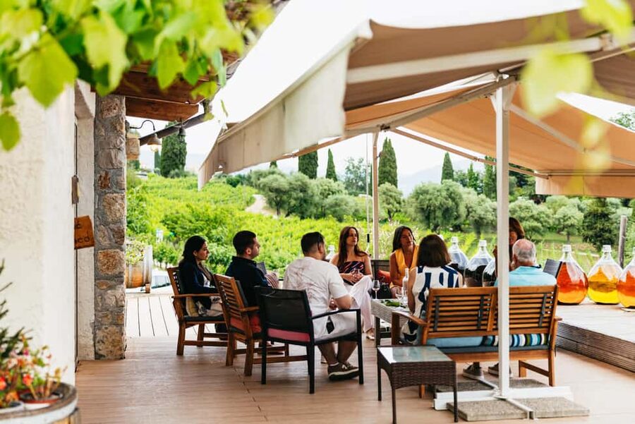 Dinner in the vineyard French Riviera - Professional Photography Included, and Why That Is Worth It