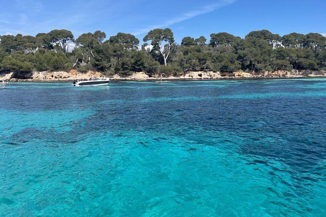 Discover the Lérins Islands and the Bay of Cannes by Private Boat - Stop One in Cannes: Hidden Coves, Masks, and SUP