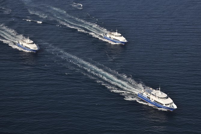 Ferry from Cannes to St Tropez - Price and Value: What You’re Paying For
