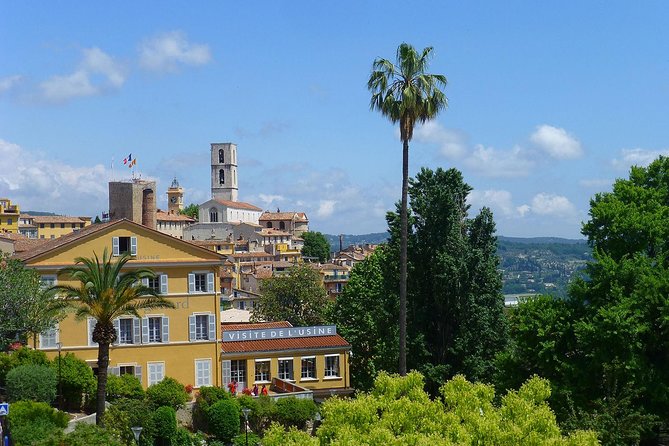Flavors & Tastes of Provence , Shared & Guided 1/2 Day from Nice - Timing, Pace, and How to Not Feel Rushed