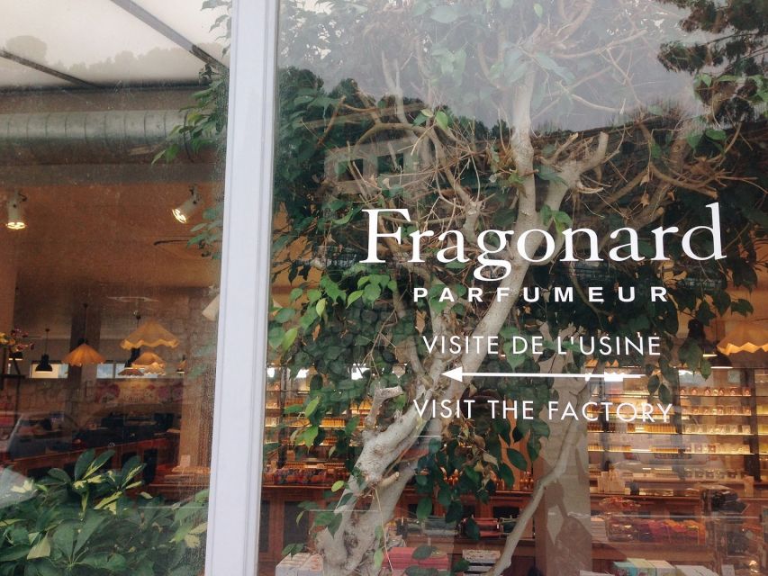 French Riviera and Provence Private Day Trip - Transportation and Timing: How to Plan Your Day Like a Pro