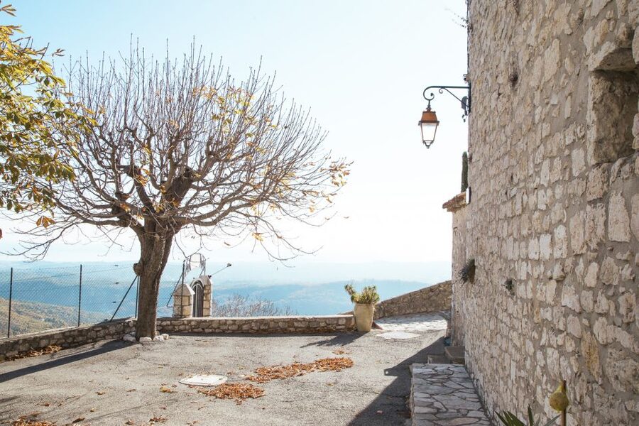French Riviera and Provence Private Day Trip - Guide, Languages, and What to Expect From the Human Side