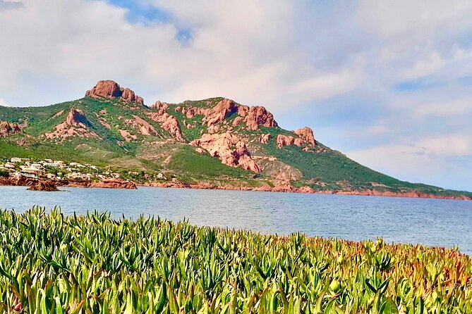 French Riviera Colorado & Var West by Train (from Cannes/Nice) - Port du Poussai: a small fishing port, sea activity options, and Tintin’s Golden Island