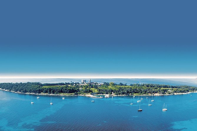 French Riviera Full or Half Day Private Tour with a Qualified Guide Driver - Key things I’d note before you book