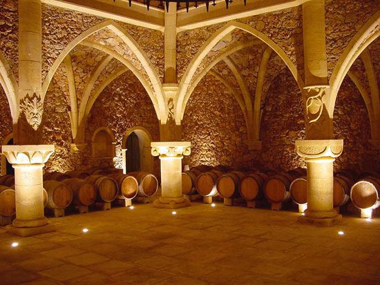 French Riviera: Provencal Wine Tour - Key highlights that make this tour worth your time