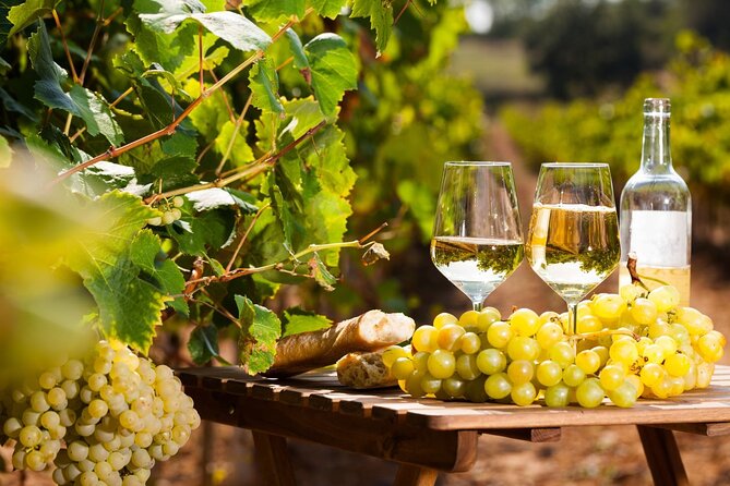French Riviera, Wine tasting, Provencal market and Countryside - Antibes, starting with the marina and the Cap d’Antibes views