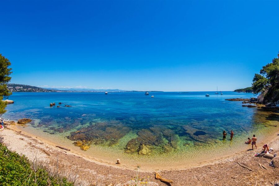 From Cannes: Round-Trip Ferry to Ste. Marguerite Island - What the island walk actually feels like: pine scent, ponds, and pointed views
