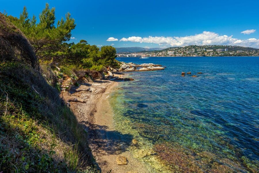 From Cannes: Round-Trip Ferry to Ste. Marguerite Island - Swimming and the new underwater eco museum: fun, but bring the right gear