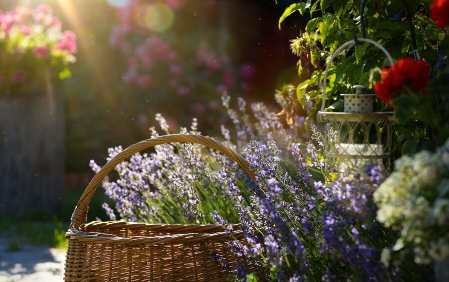 From Nice: Flower Fields & Saint Cassien Lake Full-Day Trip - Saut du Loup waterfalls and emerald pools: a quick wow stop