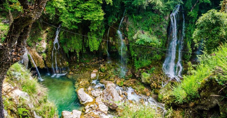 From Nice: Flower Fields & Saint Cassien Lake Full-Day Trip - Price and value: is $769 per group up to 8 worth it from Nice?