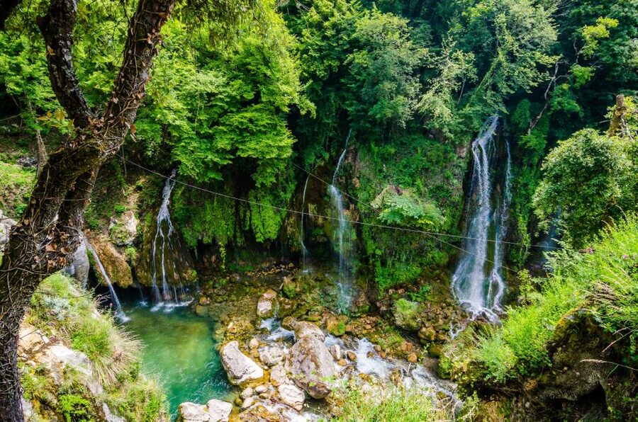 From Nice: Flower Fields & Saint Cassien Lake Full-Day Trip - Getting from Nice to the countryside: pickup, private group comfort, and a smart pace
