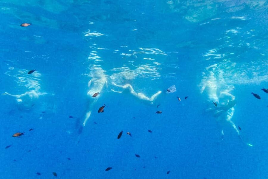 From Nice: French Riviera Swimming and Snorkeling Cruise - Price and value, plus what to judge when you book