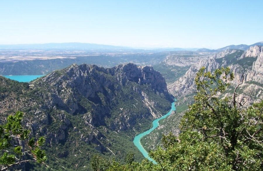 From Nice: Gorges du Verdon Guided Tour - Lavender fields in June and July: the season bonus you cannot fully control