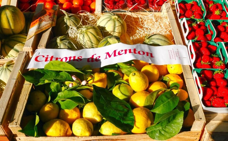 From Nice: Italian Riviera, Monaco, & Monte Carlo Tour - From Mediterranean Views to the Exotic Garden