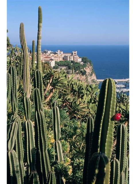From Nice: Monaco, Monte Carlo & Eze Full-Day Tour - Monaco Old Town and the Prince’s Palace area in about two hours