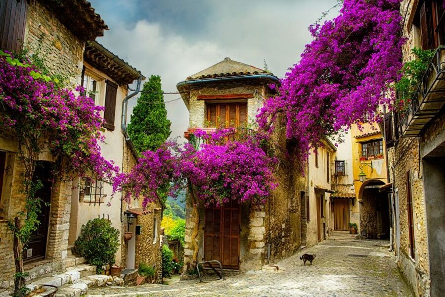 From Nice: Provence and its Medieval Villages Full-Day Tour - Key things to know before you go