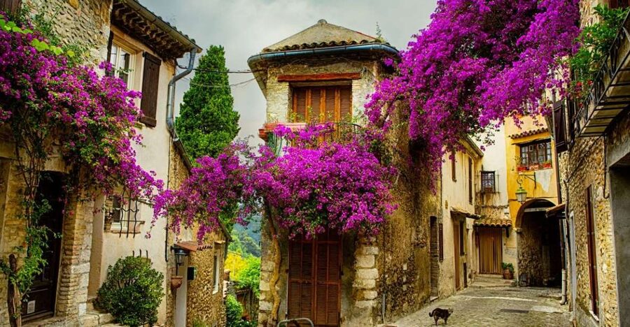 From Nice: Provence and its Medieval Villages Full-Day Tour - Grasse first: where perfume culture turns into real stories