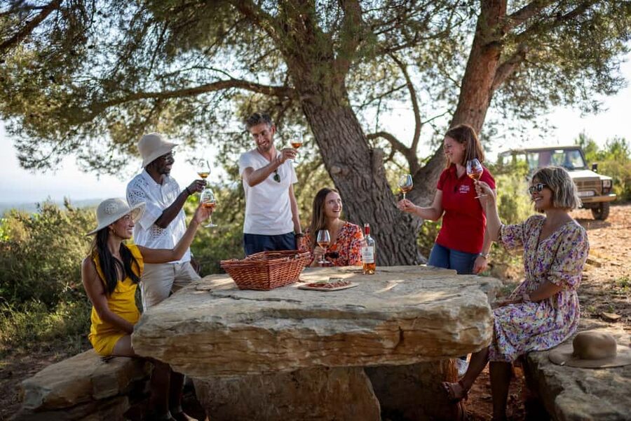 From Nice: Provence Wine Full-Day Tour - Key highlights you will actually feel during the day