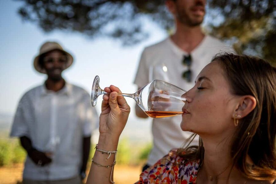 From Nice: Provence Wine Full-Day Tour - Who This Tour Fits Best (and When It Might Not)
