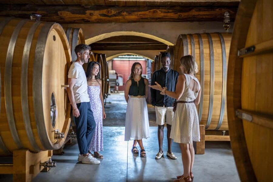 From Nice: Provence Wine Full-Day Tour - The Mini Tasting Masterclass: How to Taste, Store, Serve, Pair