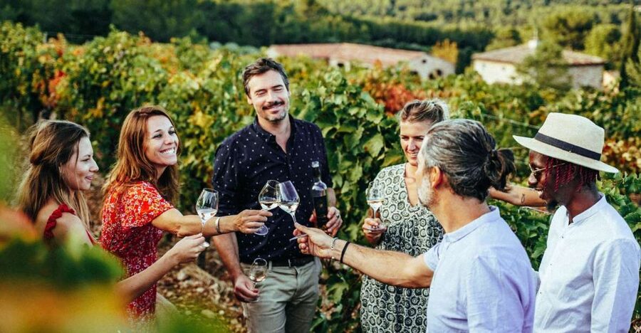 From Nice: Provence Wine Full-Day Tour - Second Vineyard: Four Generations of Family Ownership and an Artist Connection